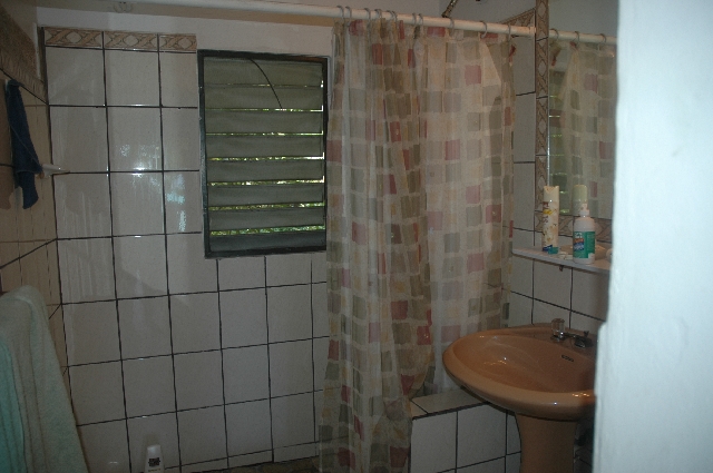 Big Apple--Bathroom 1 